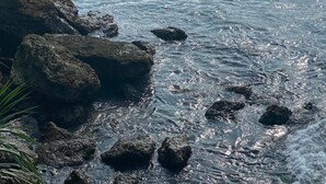 海滩
