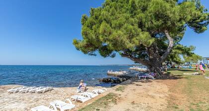 Ferienwohnung Castel mit Meerblick für 4 Personen in Porec, Top-Lage, meernah