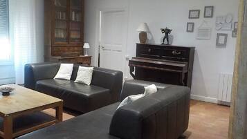 Televisión, chimenea, reproductor de DVD y libros