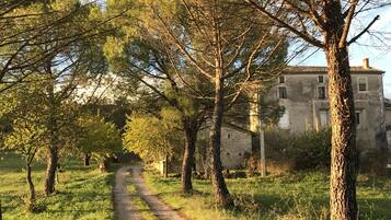 Áreas de la propiedad