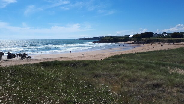 A beach with people, grassy areas, and a clear sky.
