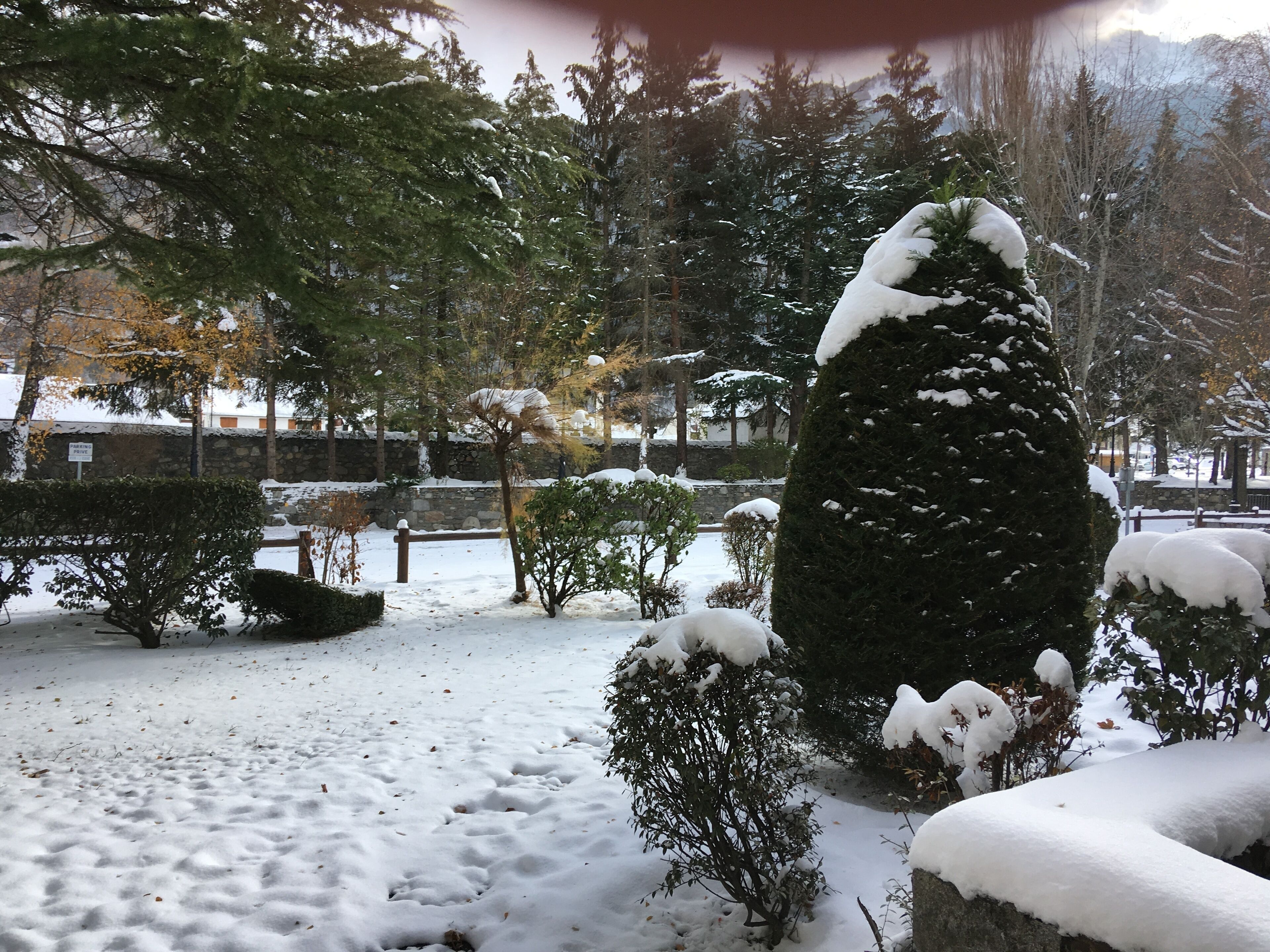 Un jardín cubierto de nieve con diversos árboles y arbustos, un muro de piedra y una valla de madera.