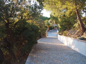 Un sentier pavé de pierres menant en pente ascendante, bordé d’une végétation luxuriante et d’un mur blanc d’un côté.