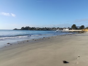 Plage, chaises longues