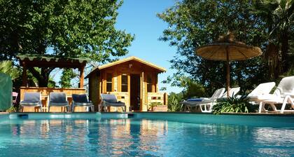 Sunny pastoral house