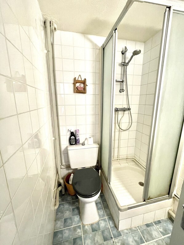 A bathroom with a toilet, a shower, and a small shelf with toiletries.