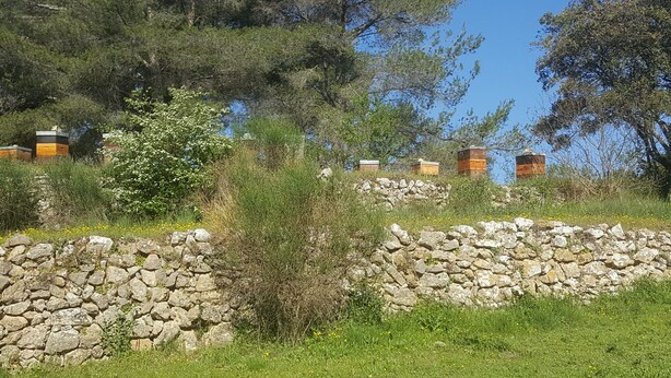 Un mur de pierre avec un bâtiment en pierre en arrière-plan.