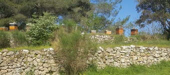 Ganske ny T1 med privat terrasse - svømmebasseng i en eksepsjonell setting