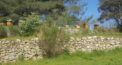 Jolie T1 Neuf Avec Terrasse Privative- Piscine Dans Un Cadre Exceptionnel