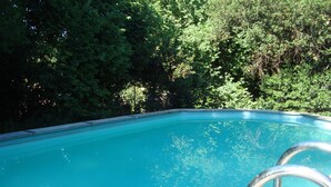 Une piscine d’eau bleue et limpide, entourée d’un feuillage verdoyant et luxuriant.