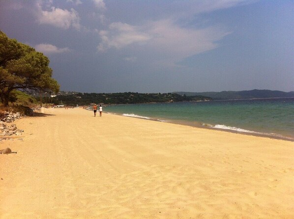 Nära stranden