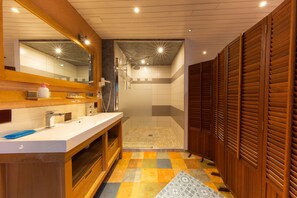 Shower, jetted bath, hair dryer, towels - Le Domaine - Prestigious house with private SPA (Osenbach)