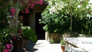 A garden pathway leading to a building entrance, surrounded by potted plants and flowering shrubs. - Spacious Mas 18th century,for 10 persons,  private pool, near Uzès (Belvézet)