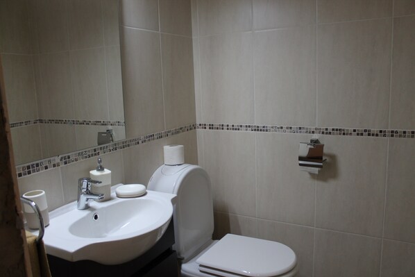 A bathroom with a sink, toilet, and a mirror.