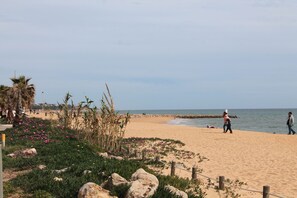 A sandy beach with palm trees and flowers, a wooden fence, and a rocky area.