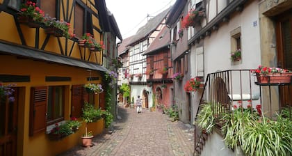 Modern eingerichtet in Eguisheim