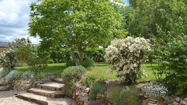 A garden with stone steps leading to a grassy area, surrounded by various plants and trees.