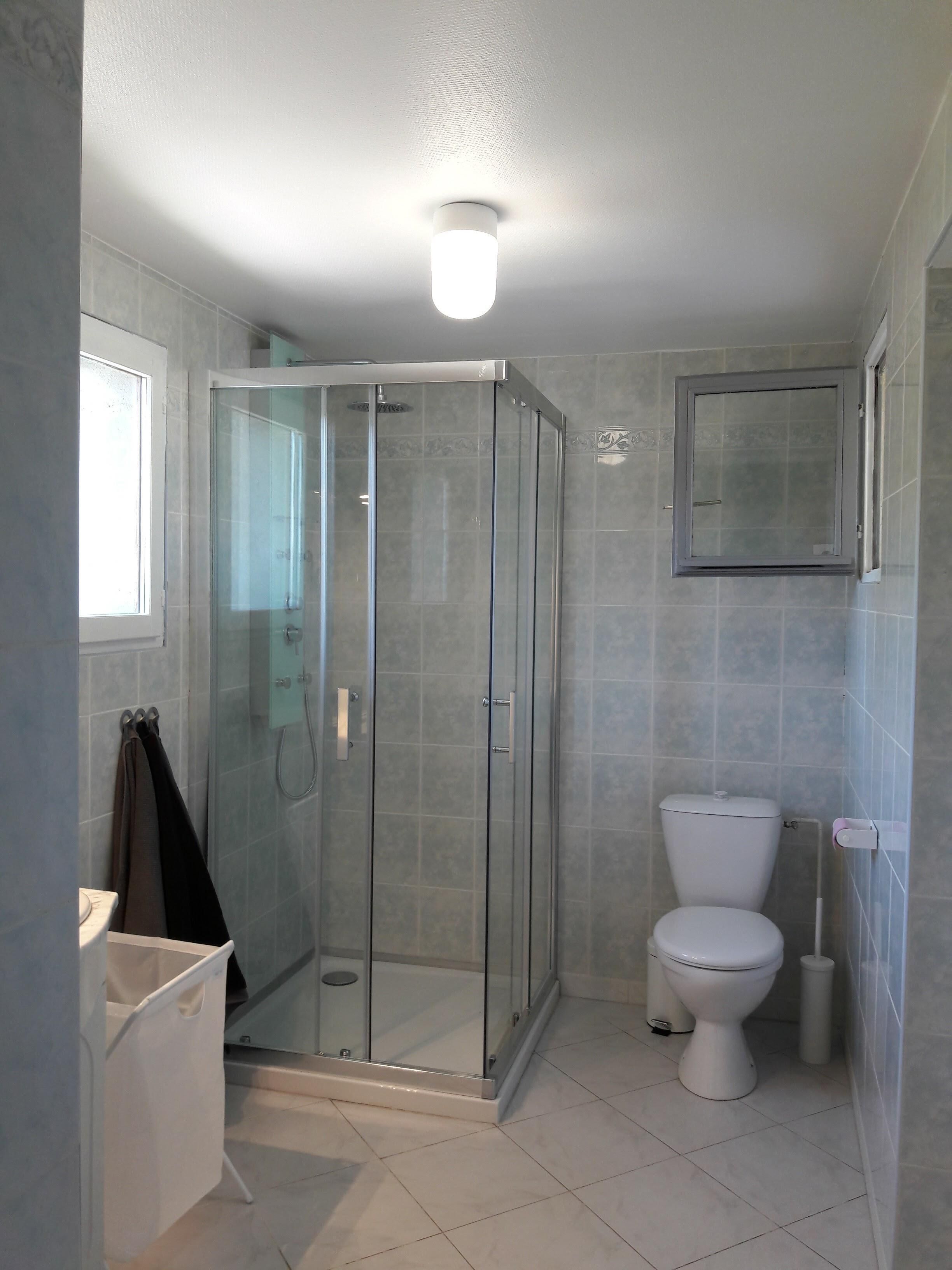 Shower, hair dryer, towels