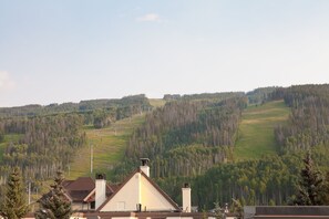 A residential area with houses and a forested hill in the background. - Luxury condo, walking distance to Lionshead Gondola 4B  & 4B premier partner (Vail)