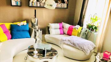 Télévision, cheminée, lecteur de DVD, livres