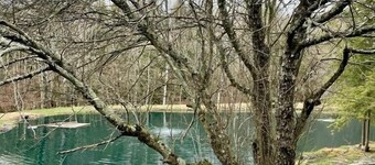 Waterfront Secluded Log-house w/Sauna, Games, More, Mins To Town & Activities