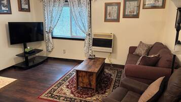 Smart TV, DVD player, books, video library