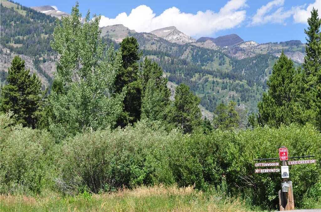 A signpost with directions to Cottonwood Dr, Lake Creek Dr, and Berry Patch.