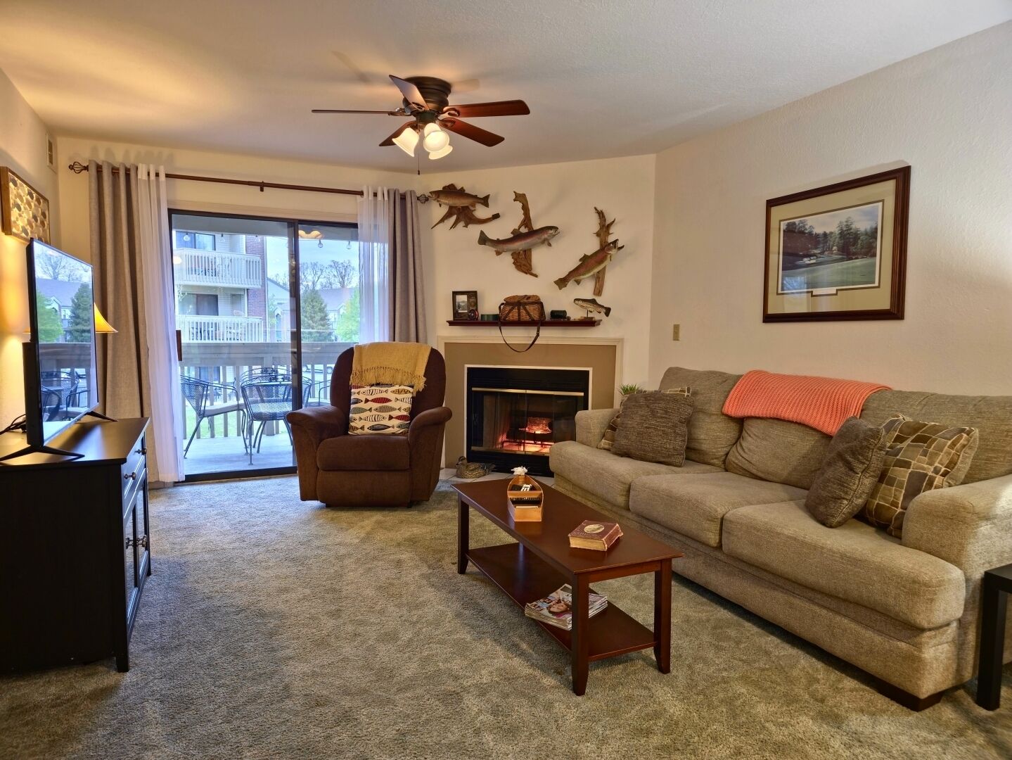 TV connectée, cheminée, lecteur de DVD, livres