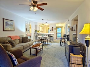 Smart TV, fireplace, DVD player, books
