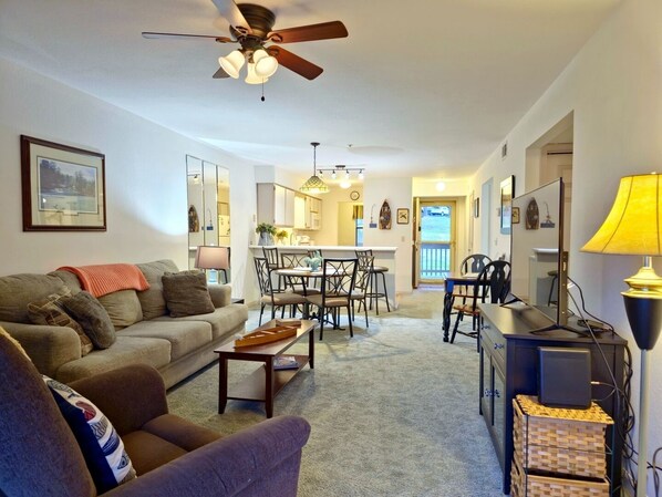 Smart TV, fireplace, DVD player, books