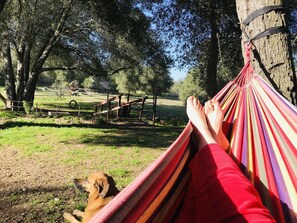 Terrain de l’hébergement 