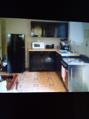 Refrigerador, microondas, horno y parrilla de estufa 
