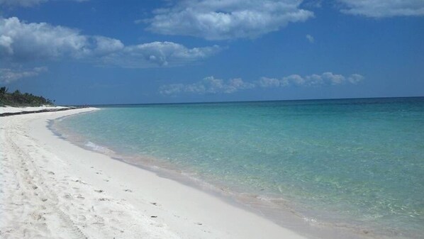 Sun-loungers, beach towels - Authentic Travel Experiences await in Charming Chan Chemuyil btwn Akumal/Tulum (Chemuyil)