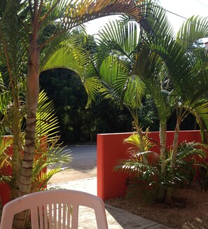 Terrace/patio - Authentic Travel Experiences await in Charming Chan Chemuyil btwn Akumal/Tulum (Chemuyil)