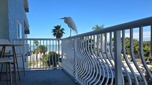 A balcony with wicker chairs, a white railing, and a view of the beach and palm trees. - Beautiful San Remo on Beach, Water-view From All Windows, Heated Pool, Hot Tub  (Redington Shores)