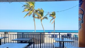 A beachside patio with tables and chairs, palm trees, and a view of the ocean.