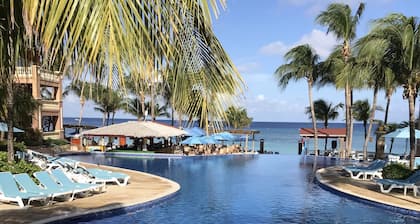 Our Paradise Found Solde 15% de réduction en juin 2019! HABLAMOS ESPAÑOL
