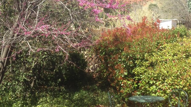 Ein Garten mit einer Terrasse, ausgestattet mit Metallstühlen und einem Tisch, umgeben von blühenden Büschen und Bäumen.