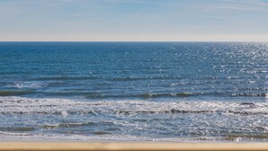 Ein Strand mit einer Holzbank.
