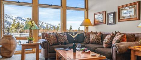 Televisión, chimenea y reproductor de DVD