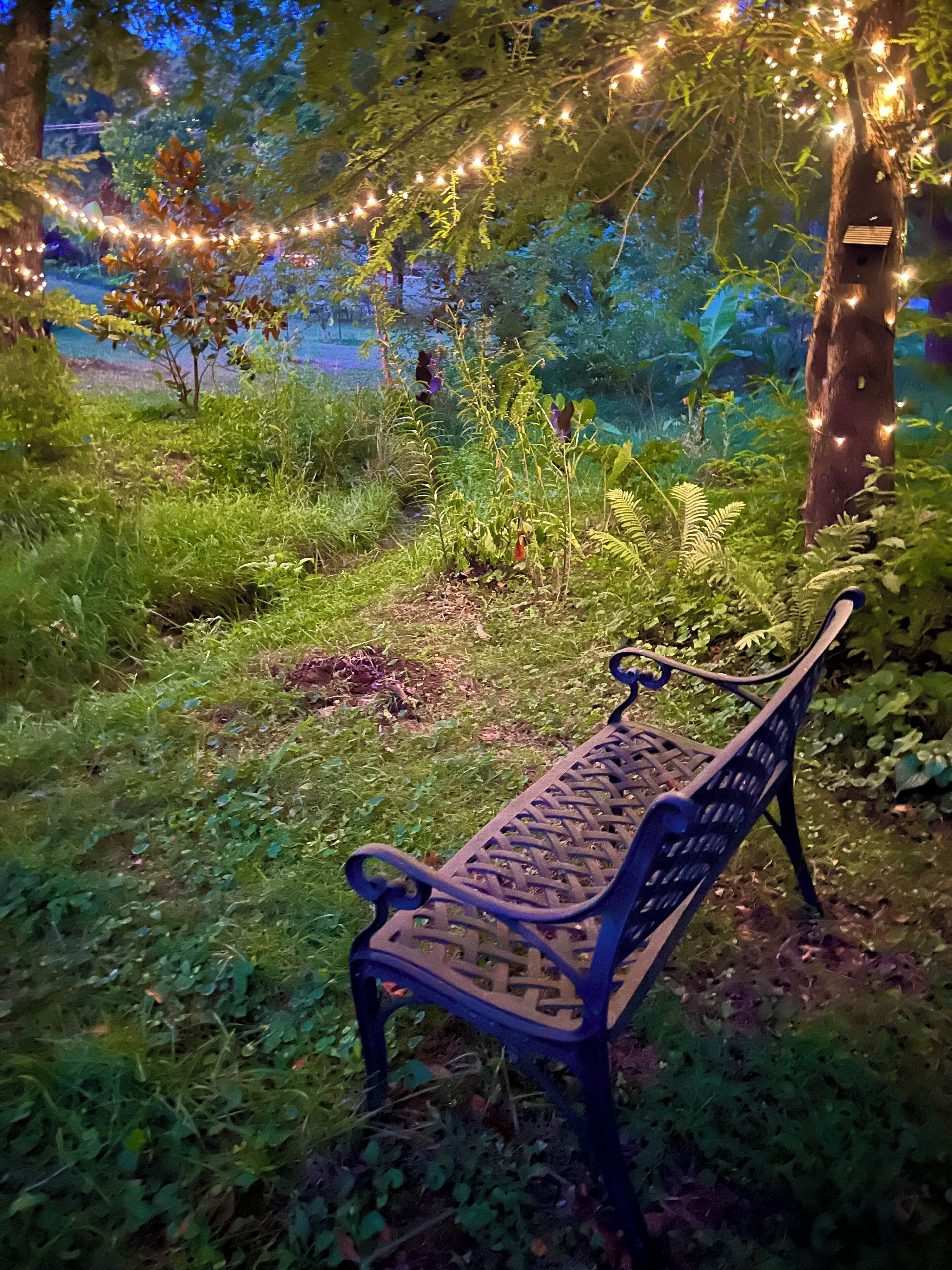A bench in a garden with string lights.