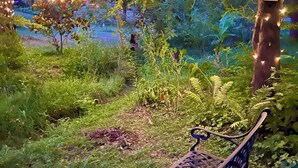 Un banco en un jardín con luces de cadena.