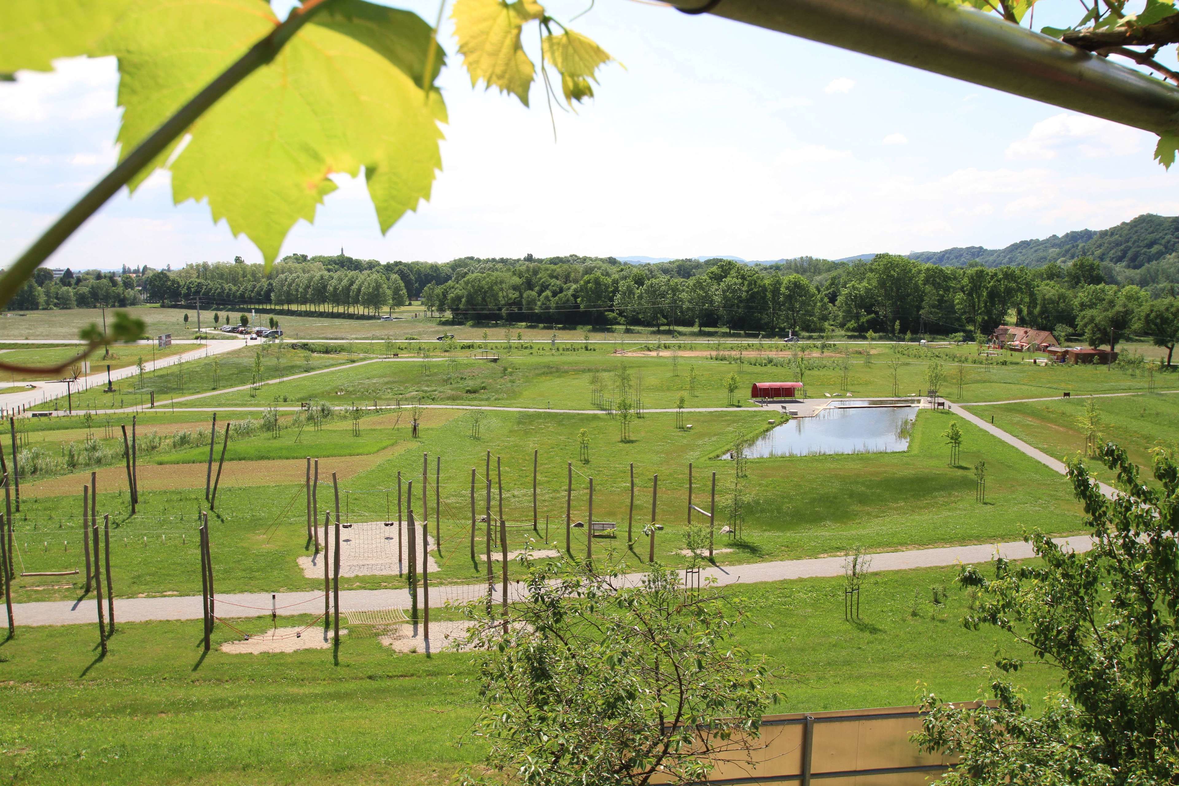 A rural landscape with a pond, fenced fields, and a distant red building.