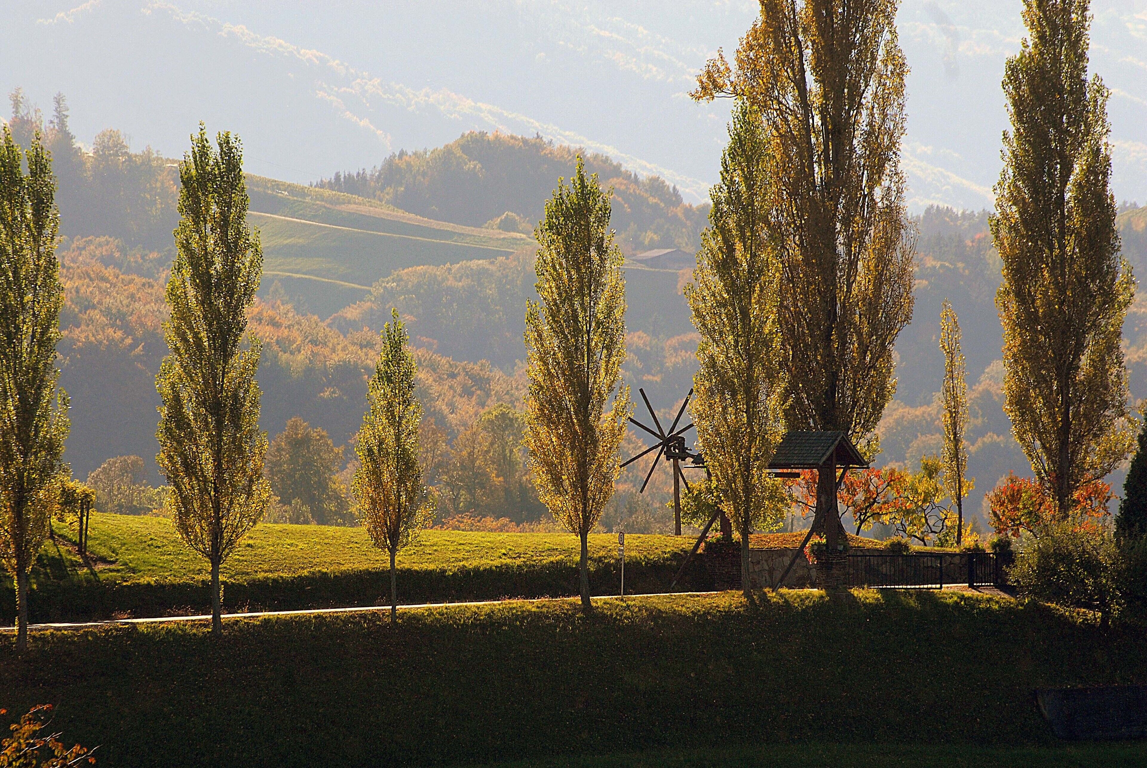 Un moulin à vent se dresse dans un paysage rural, avec des arbres et des collines en arrière-plan.