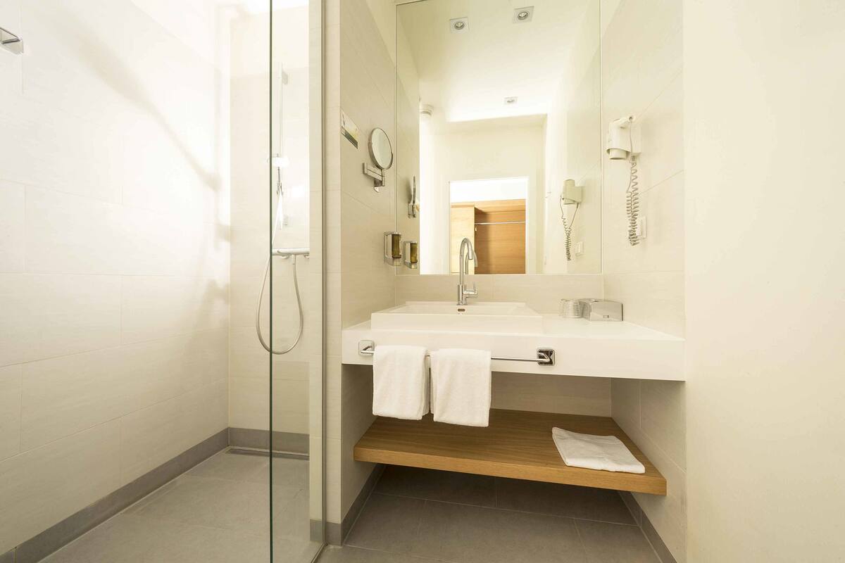 deluxe double room | bathroom | shower, free toiletries, hair dryer, bathrobes