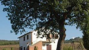 Una casa con un gran árbol en primer plano, un camino de tierra que lleva a la casa y un paisaje rural al fondo.