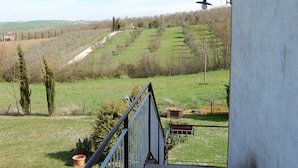 Un balcón con vista a un campo verde y colinas lejanas.