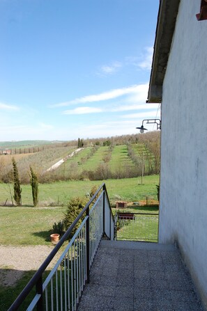 Property grounds - Agriturismo Rossello (Castiglione d'Orcia)
