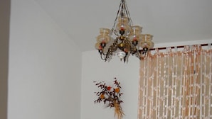 Un dormitorio con una cama, un candelabro, una planta en la pared y una cortina.
