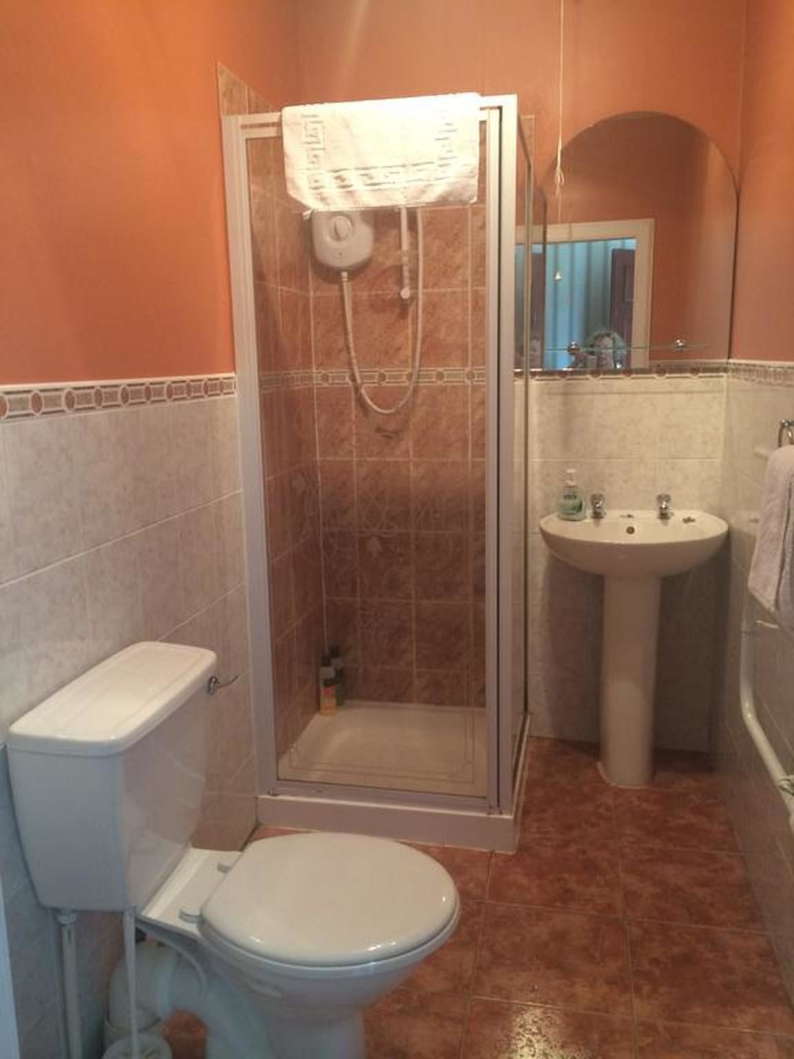 Baño con ducha, inodoro, lavamanos y espejo.